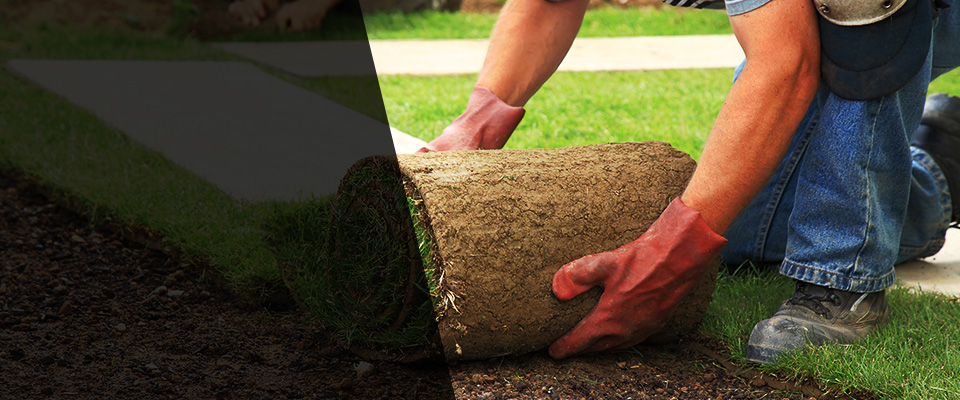 Madras Landscapers